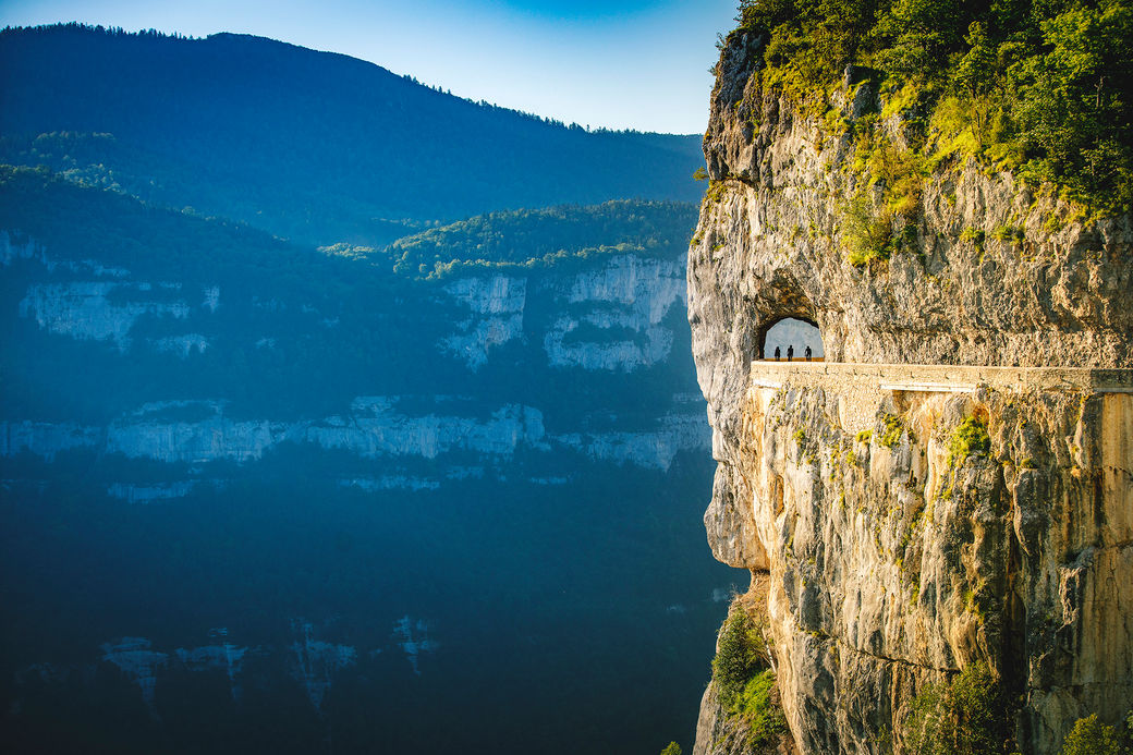 公路車基礎車款