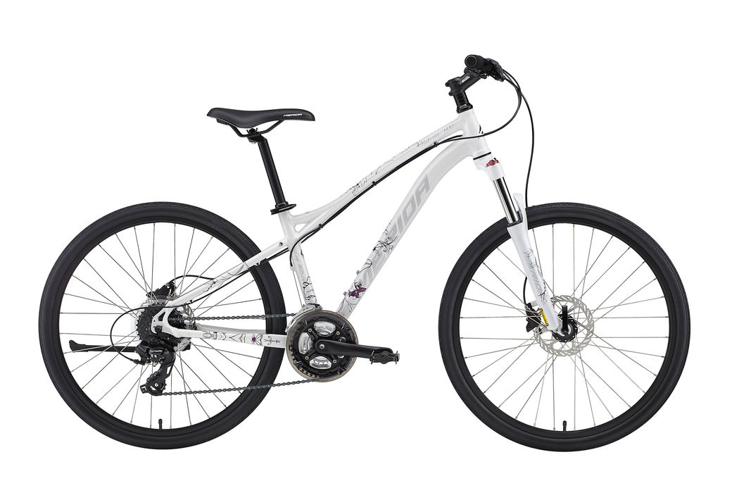 維多利亞 600D Highlights